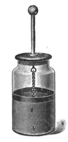 Leyden jar